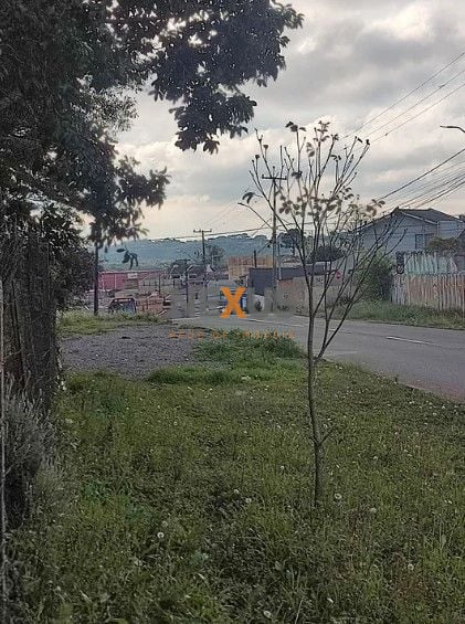 Terreno à venda, 2793 m  por R  990.000,00 - Iguaçu - Fazenda ...