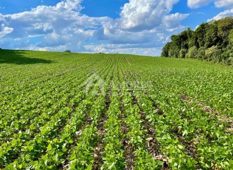 Chácara à venda, 23600 m  por R  649.000,00 - Barigui - Araucá...