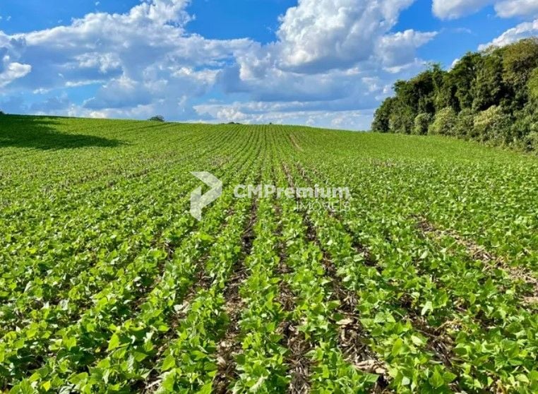Chácara à venda, 23600 m  por R  649.000,00 - Barigui - Araucá...