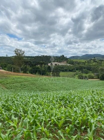 Chácara à venda, 94682 m  por R  1.350.000,00 - Zona Rural - T...