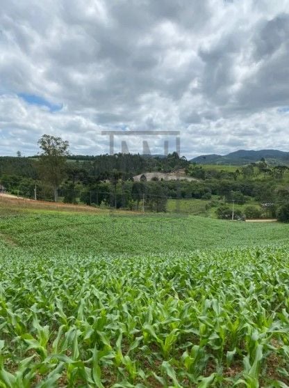 Chácara à venda, 94682 m  por R  1.350.000,00 - Zona Rural - T...