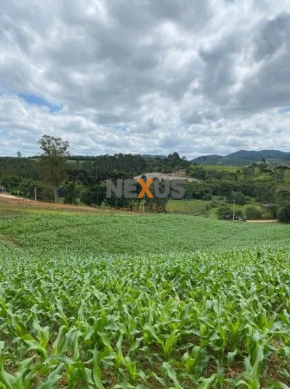 Chácara à venda, 94682 m  por R  1.350.000,00 - Zona Rural - T...
