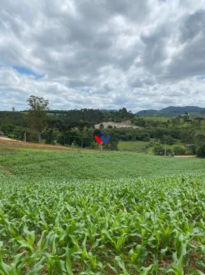 Chácara à venda, 94682 m  por R  1.350.000,00 - Zona Rural - T...