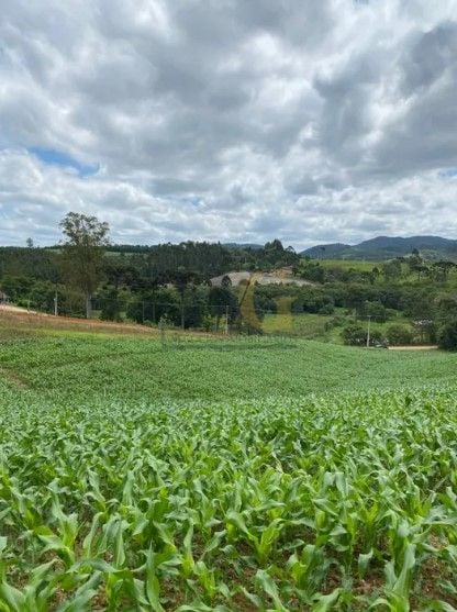 Chácara à venda, 94682 m  por R  1.350.000,00 - Zona Rural - T...