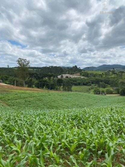 Chácara à venda, 94682 m  por R  1.350.000,00 - Zona Rural - T...