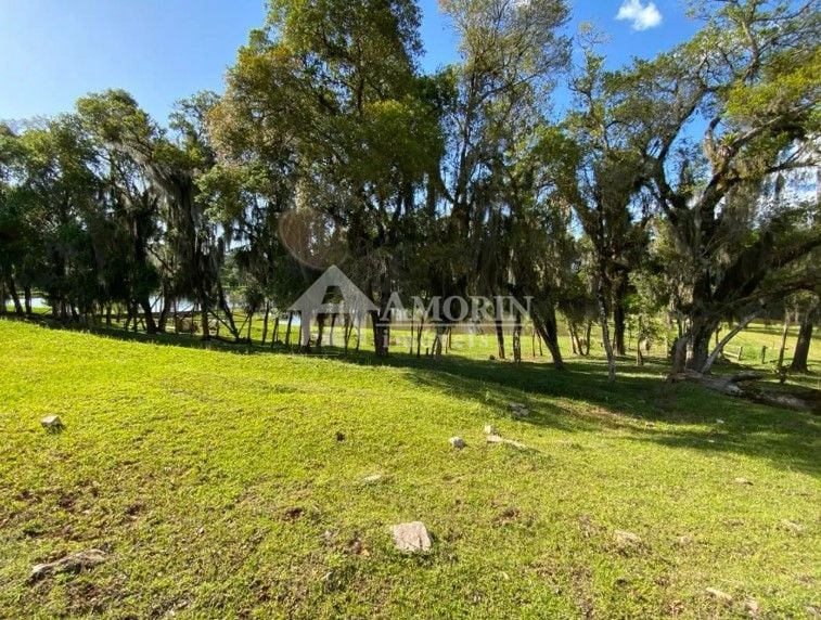 Chácara com 3 dormitórios à venda, 29328 m  por R  1.500.000,0...