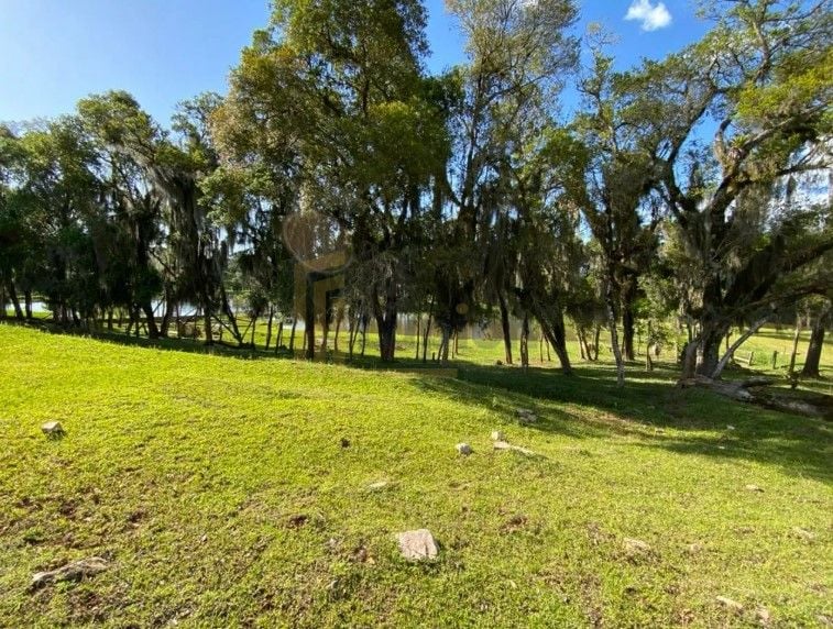 Chácara com 3 dormitórios à venda, 29328 m  por R  1.500.000,0...
