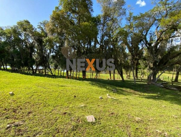 Chácara com 3 dormitórios à venda, 29328 m  por R  1.500.000,0...