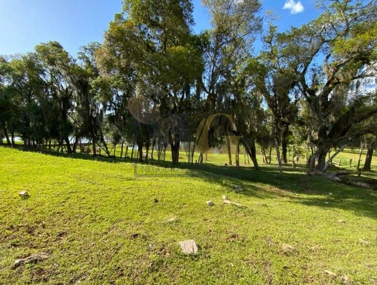 Chácara com 3 dormitórios à venda, 29328 m  por R  1.500.000,0...