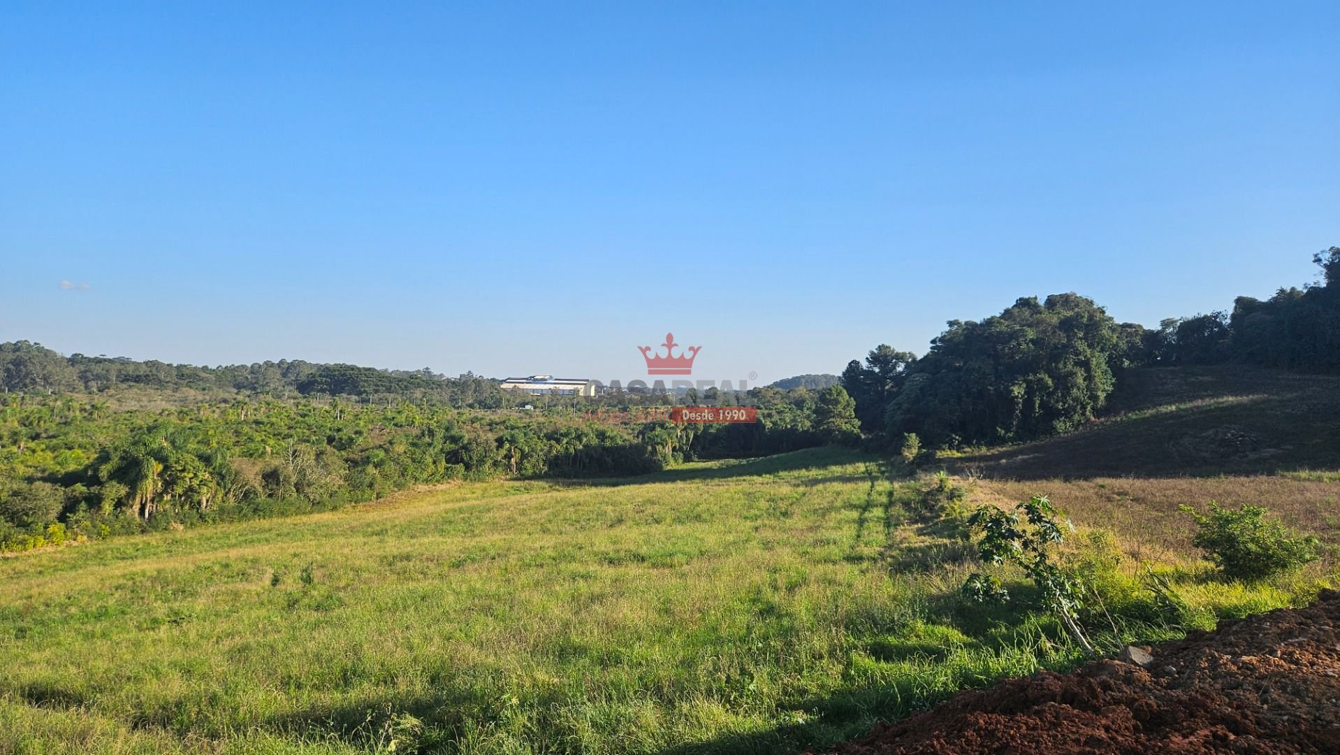Área Industrial em Araucária  73.306m  Frente PR-423 com Potencial para Galpões