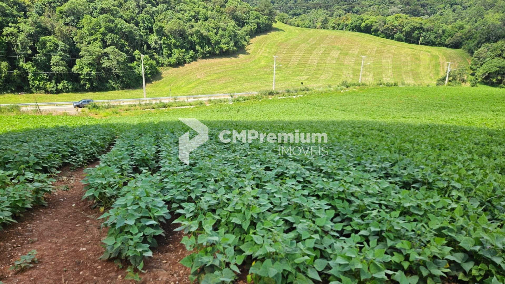 Chácara à venda,21850.00 m , zona rural, ARAUCARIA - PR