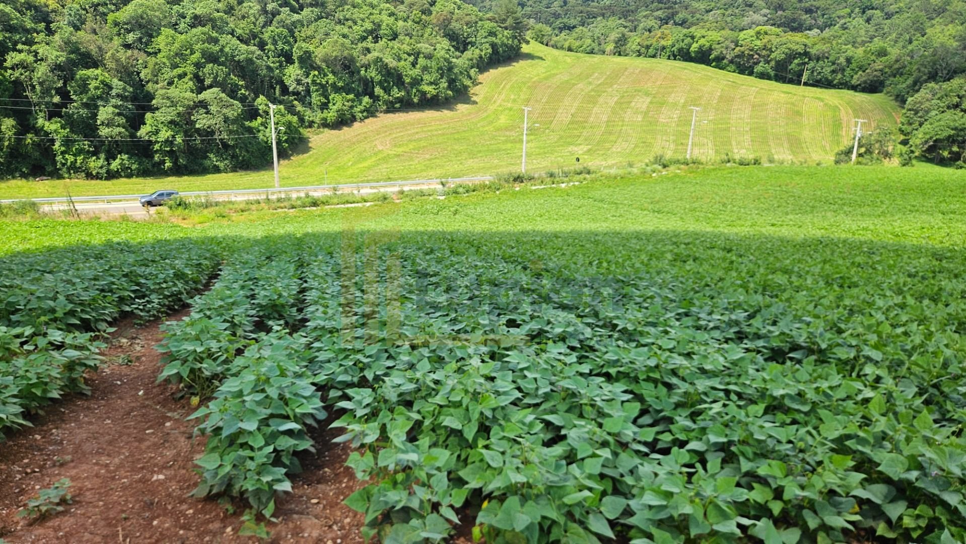 Chácara de 21.850 m  próxima a Araucária  refúgio ideal para m...