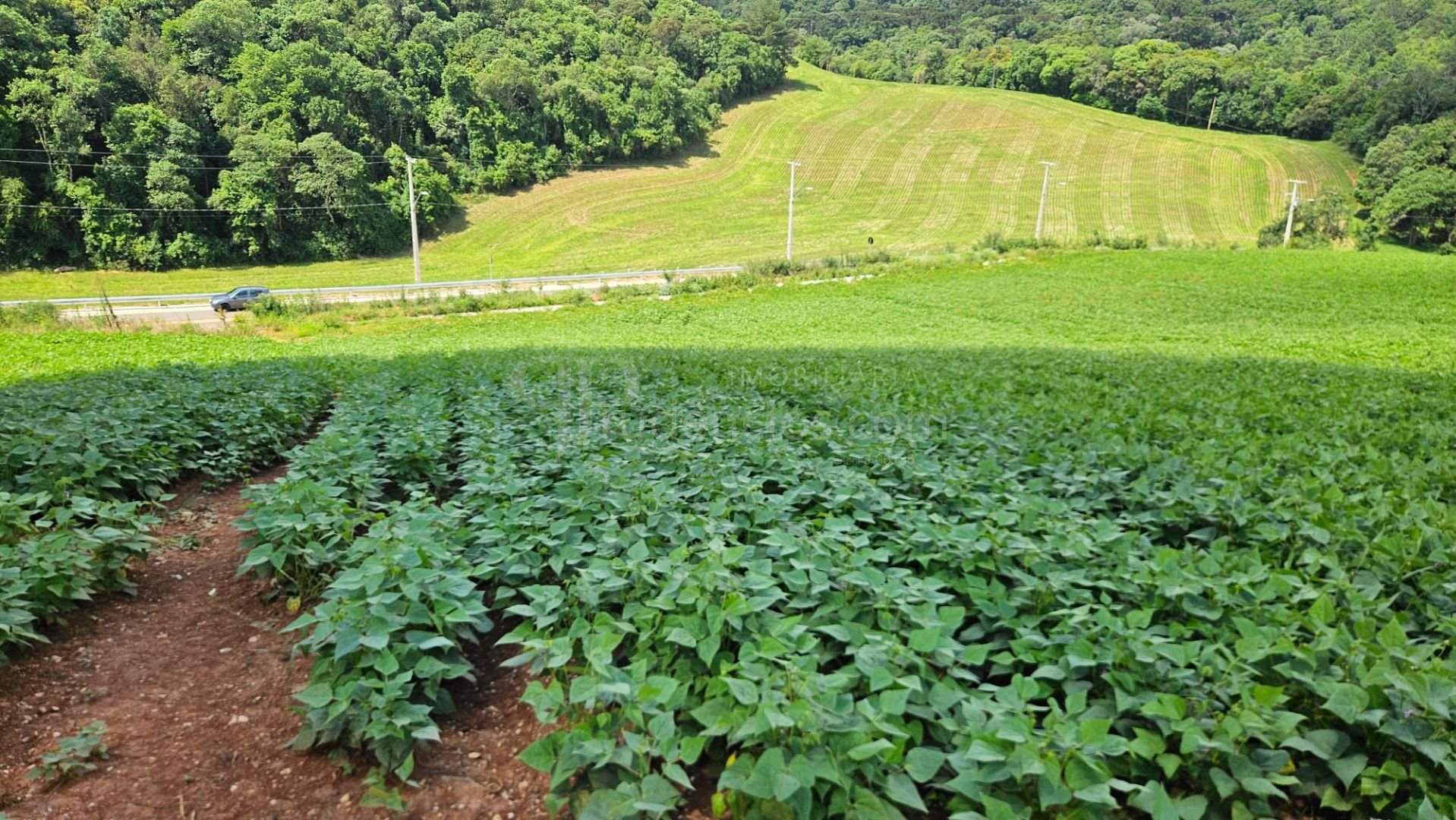 Chácara de 21.850 m  próxima a Araucária  refúgio ideal para m...