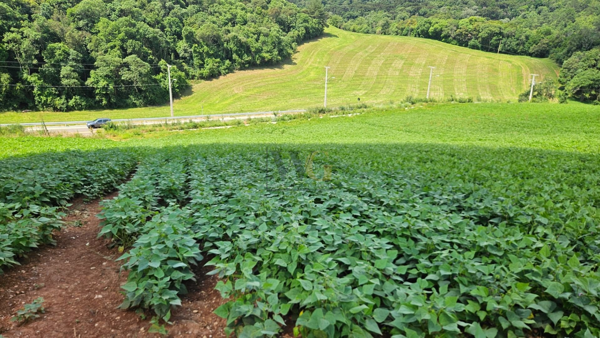 Chácara de 21.850 m  próxima a Araucária  refúgio ideal para m...