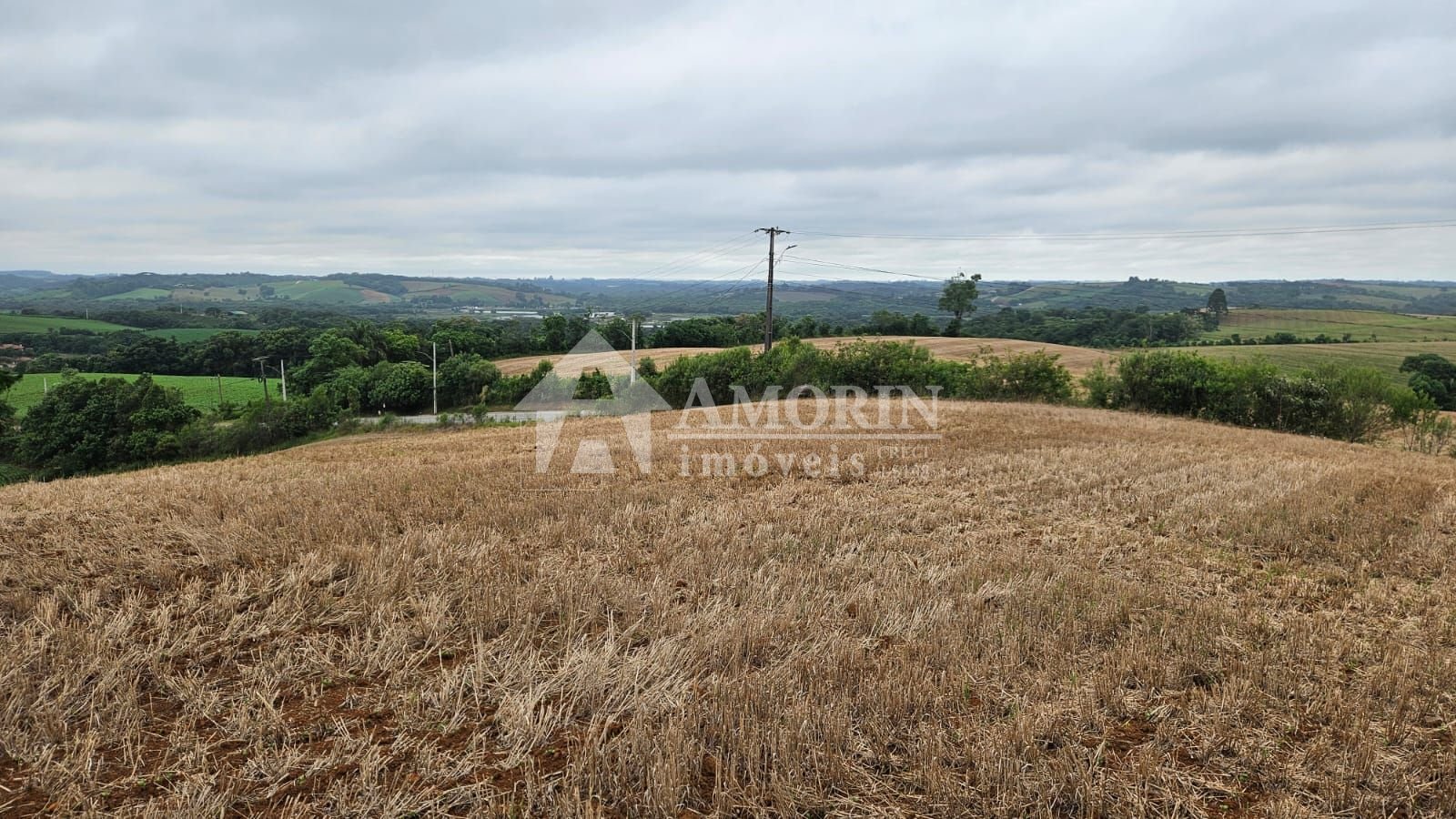 Terreno à venda, 84700 m² por R$ 3.500.000,00 - Guajuvira - Ar...