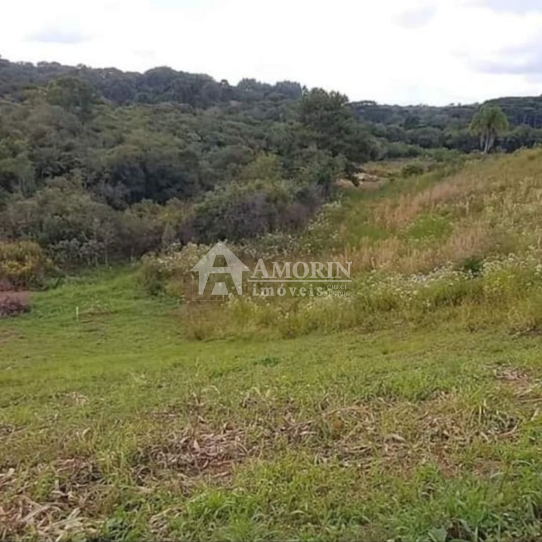 Chácara à venda, 7000 m  por R  255.000,00 - Zona Rural - Cont...