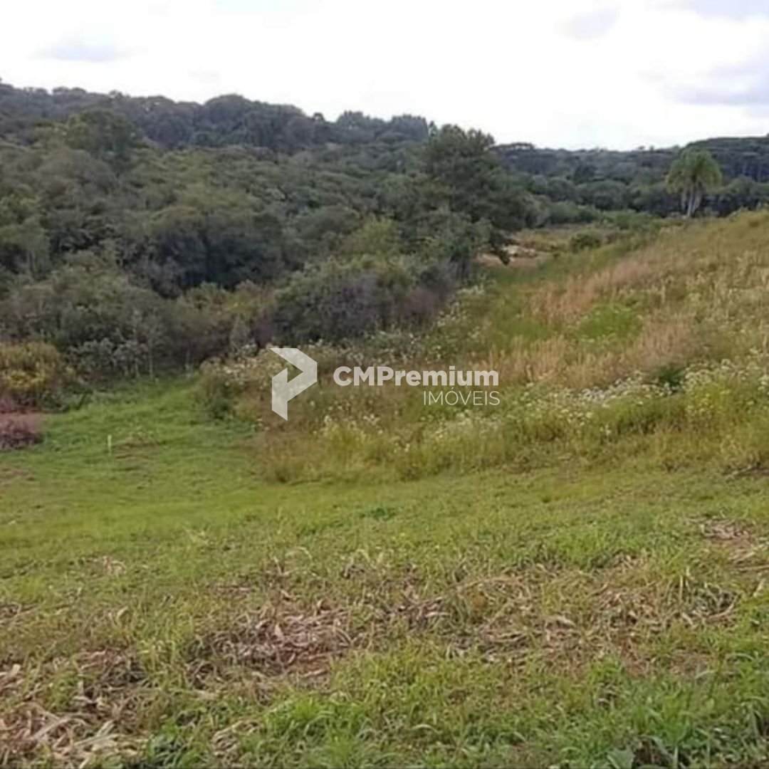 Chácara à venda, 7000 m  por R  255.000,00 - Zona Rural - Cont...