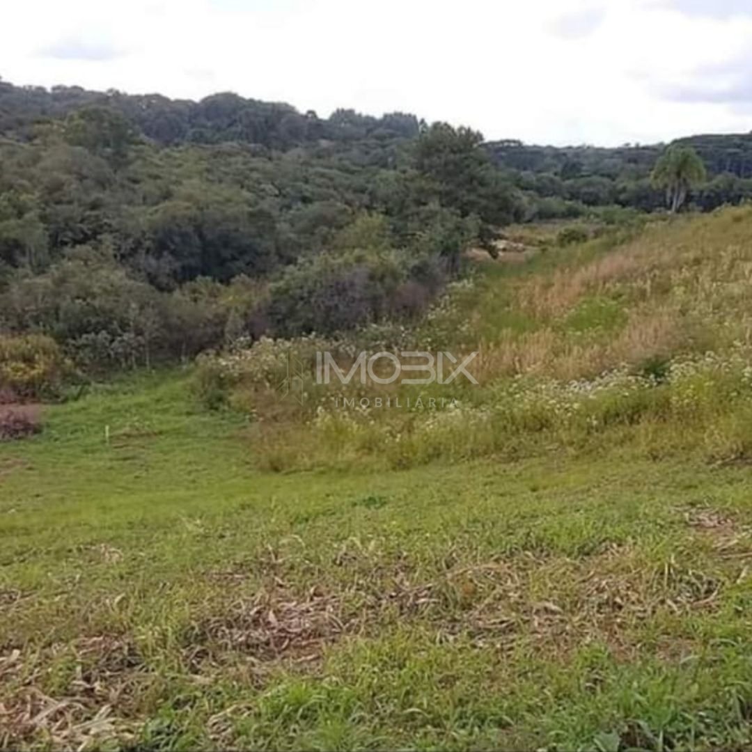 Chácara à venda, 7000 m  por R  255.000,00 - Zona Rural - Cont...