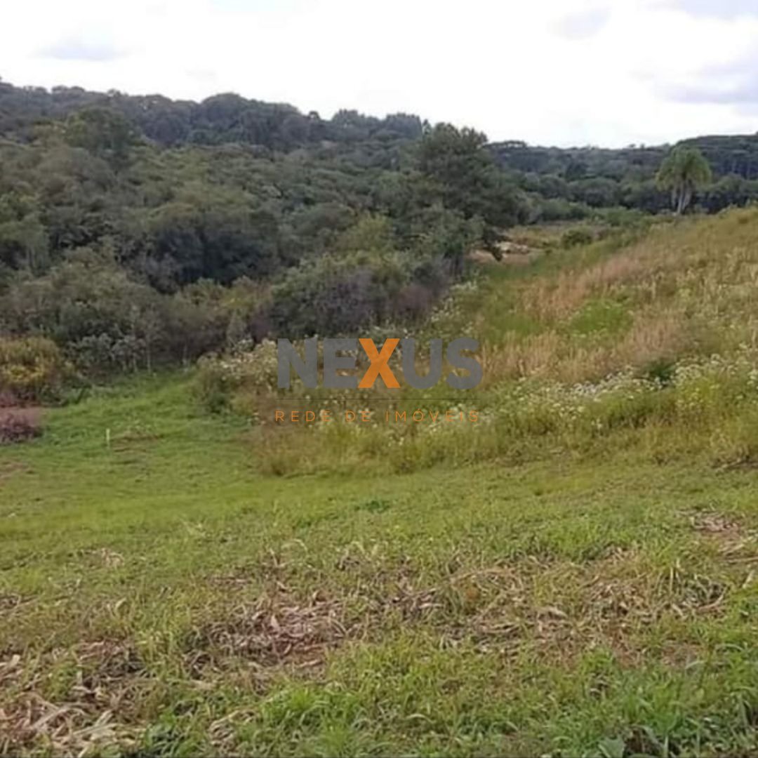 Chácara à venda, 7000 m  por R  255.000,00 - Zona Rural - Cont...