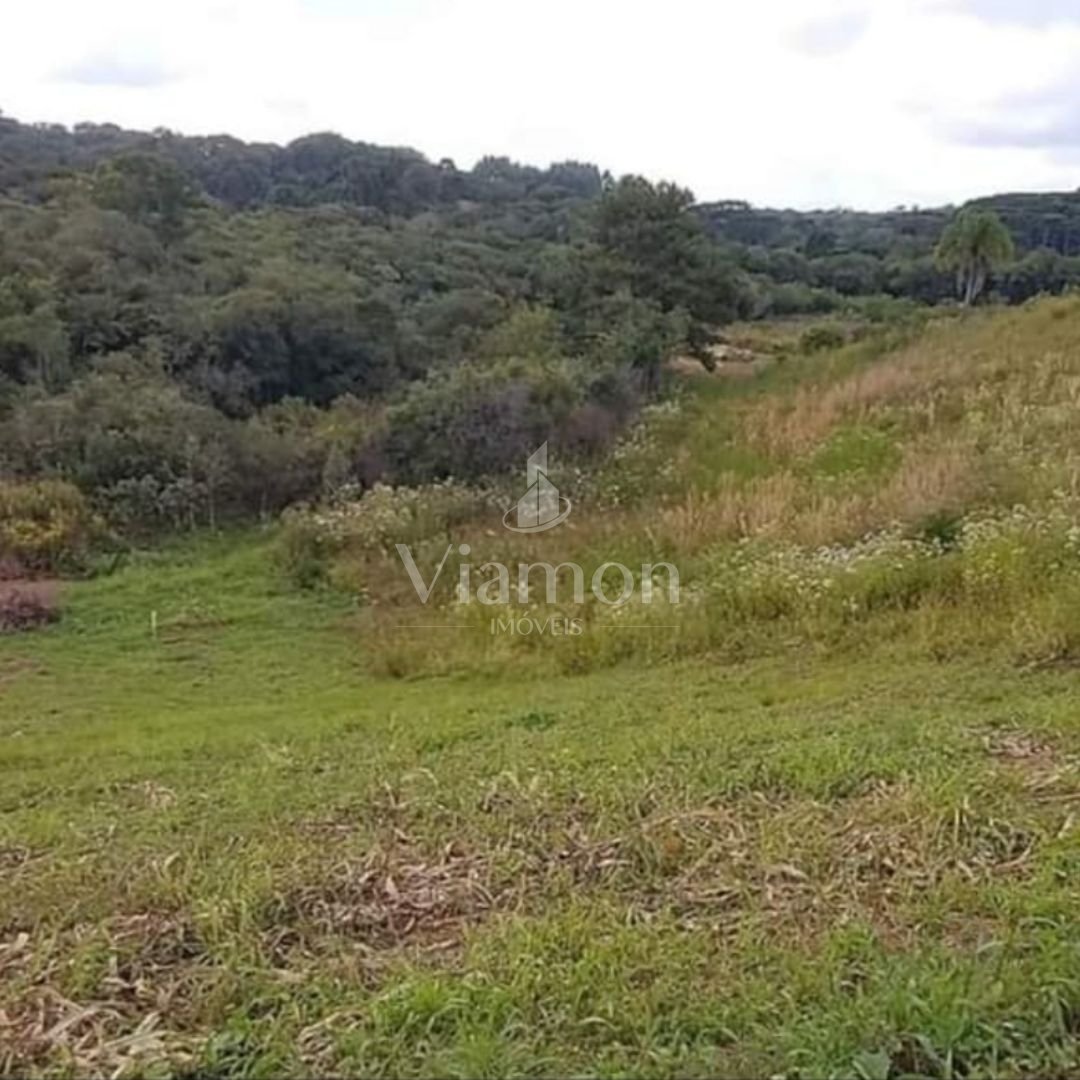 Chácara à venda, 7000 m  por R  255.000,00 - Zona Rural - Cont...