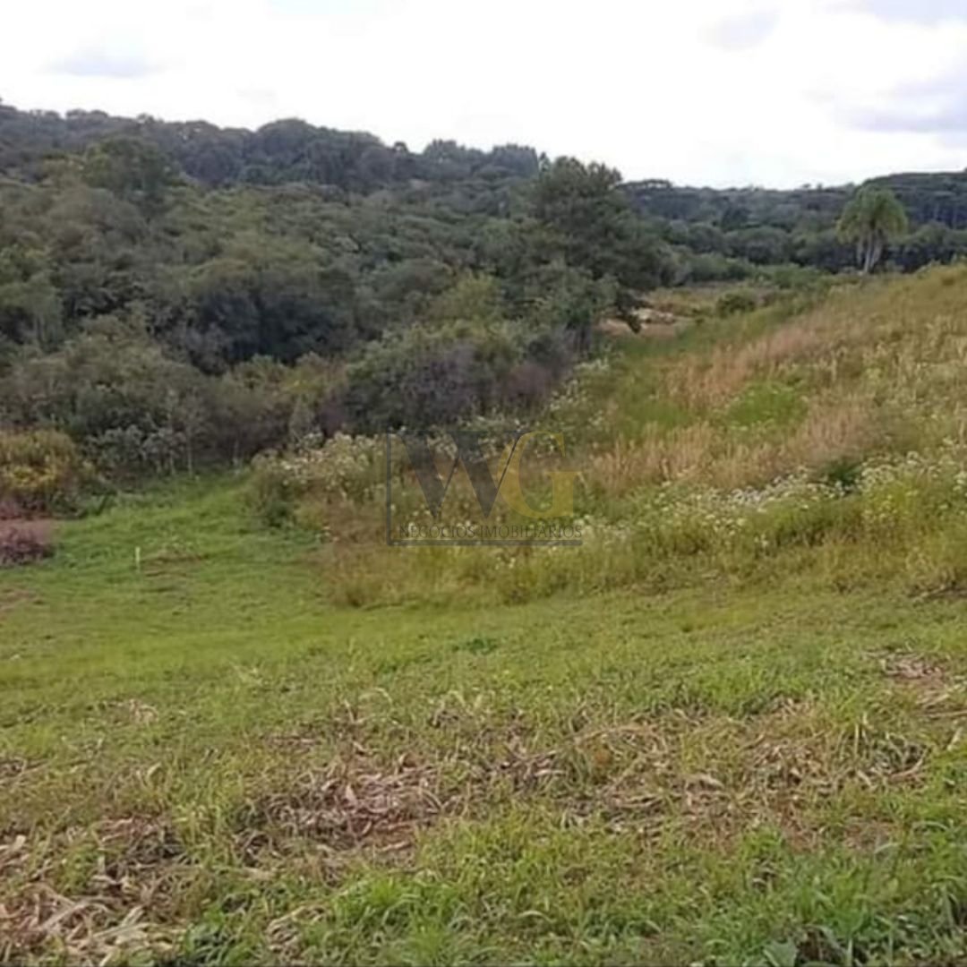 Chácara à venda, 7000 m  por R  255.000,00 - Zona Rural - Cont...