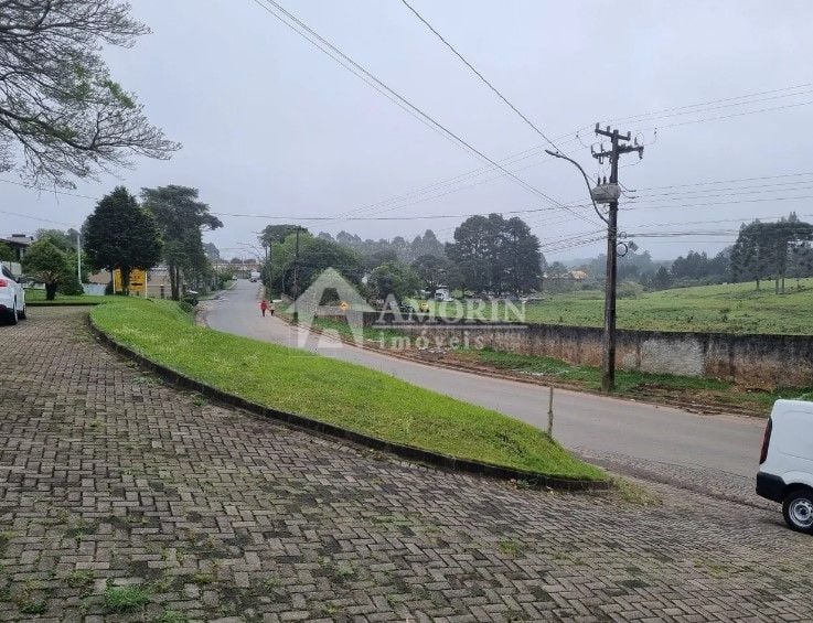 Área à venda, 49000 m  por R  7.900.000,00 - Centro - Piraquar...