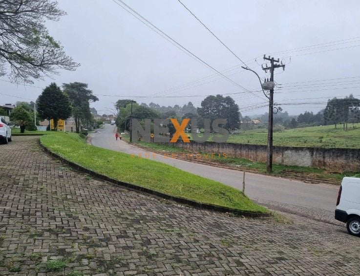 Área à venda, 49000 m  por R  7.900.000,00 - Centro - Piraquar...