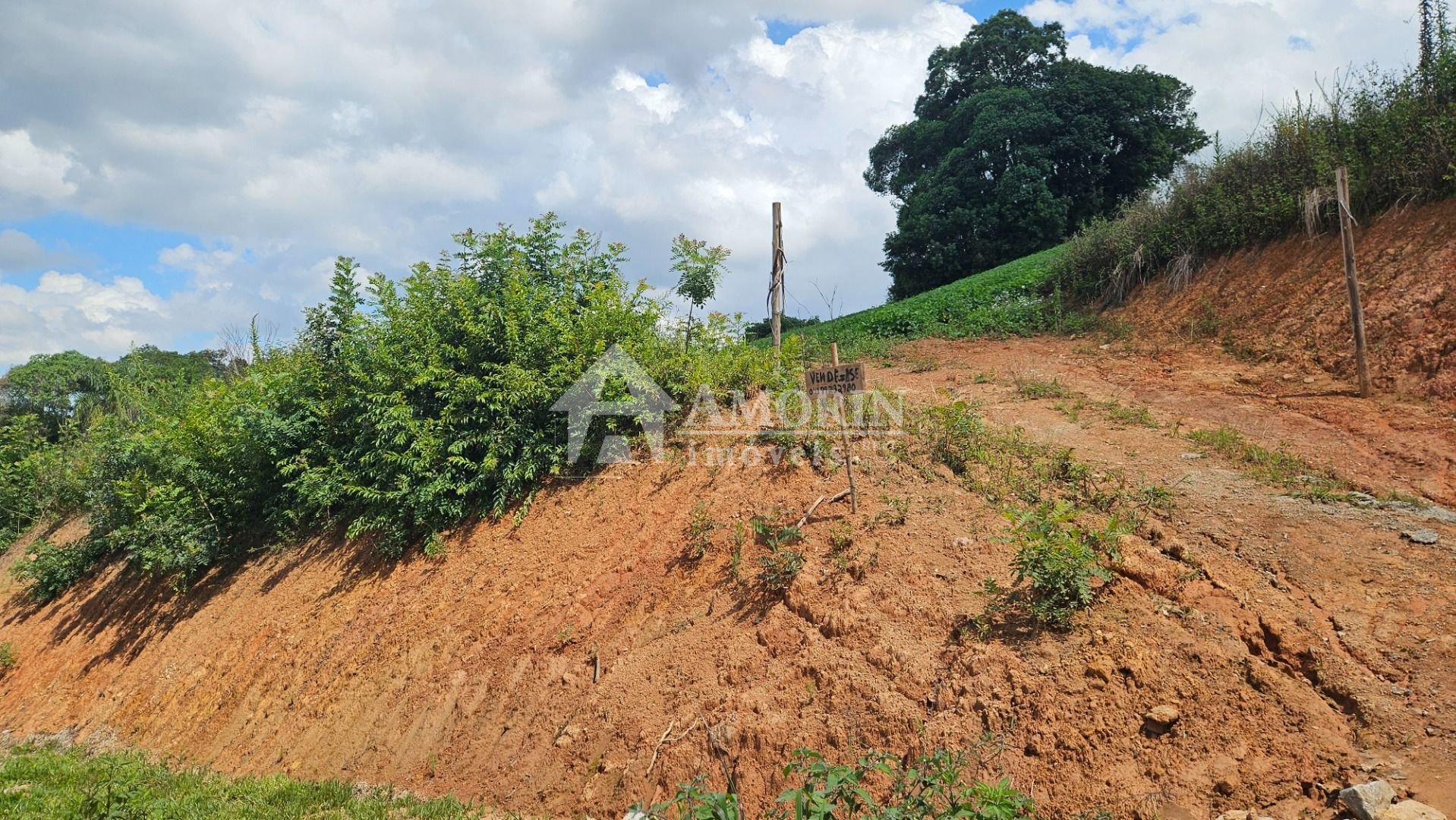 Chácara à venda,21850.00 m , zona rural, ARAUCARIA - PR