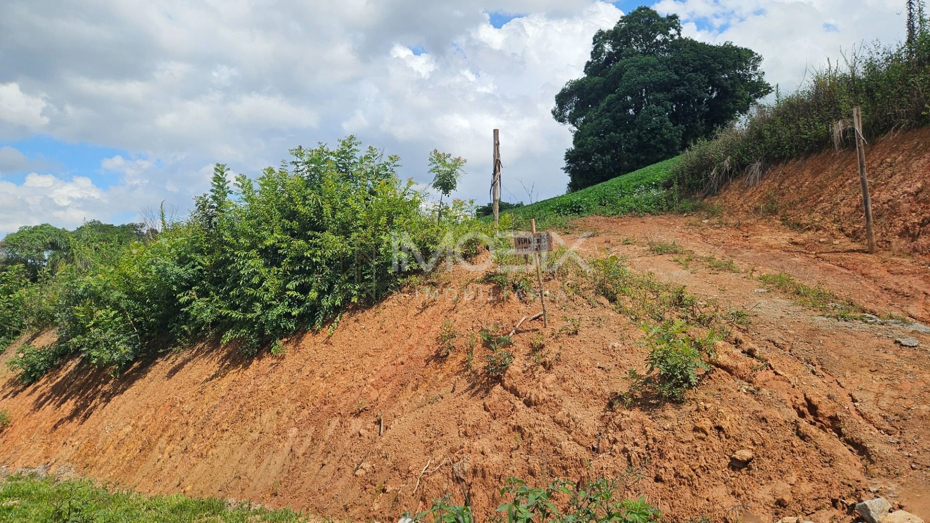 Chácara à venda,21850.00 m , zona rural, ARAUCARIA - PR