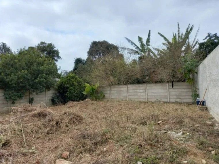 Lote Plano e Murado de 15x50m no Atuba  Pronto para Construir