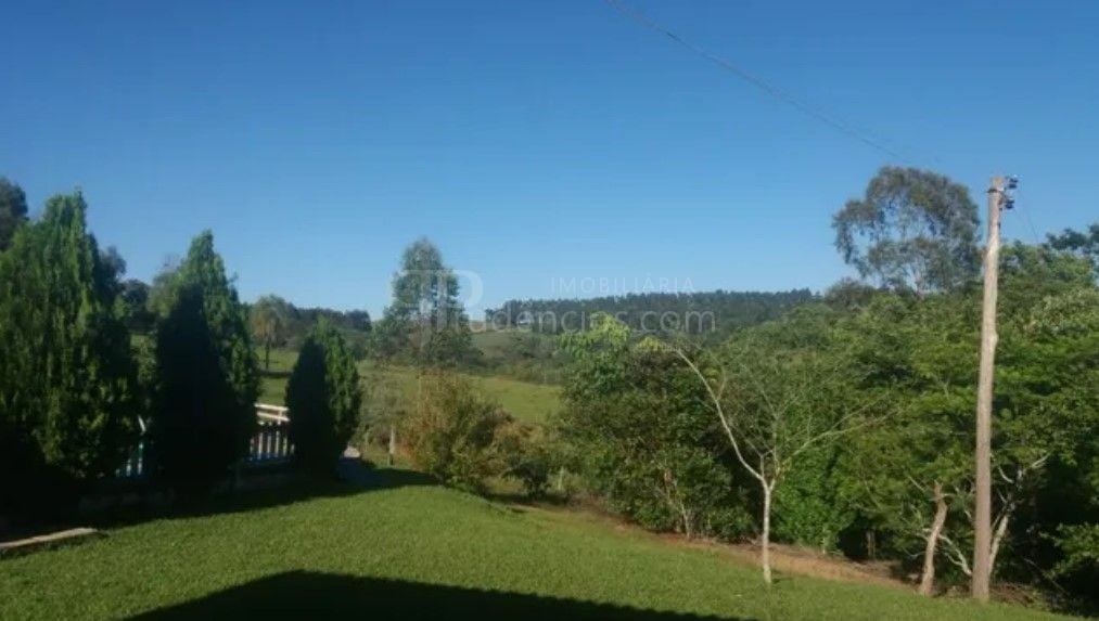 Fazenda Reflorestada de 111,6 Hectares em Arapoti PR  Investim...