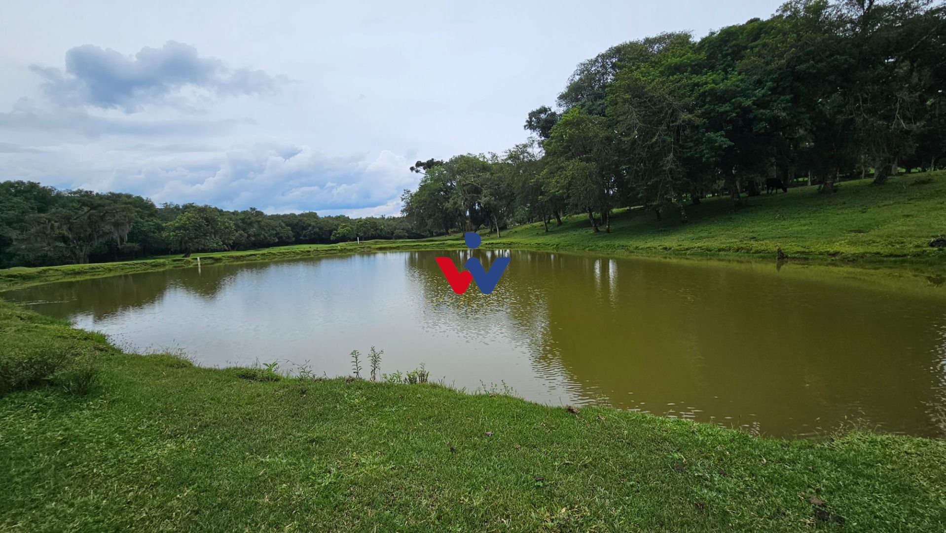 Chácara à venda, 254100 m  10 alqueires, por R  3.020.000,00 -...
