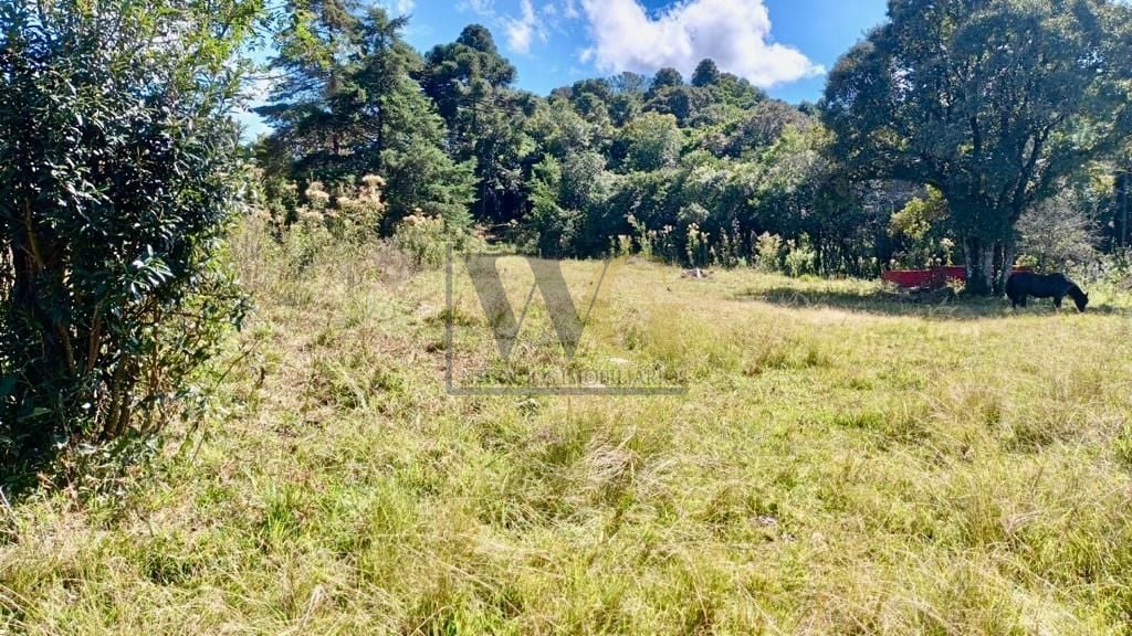 Chácara de 22.290m  em Campo Largo  Refúgio no Campo com Fácil...