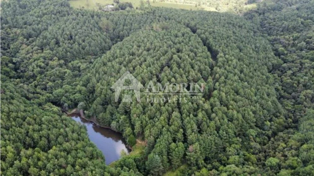 Fazenda com 3 dormitórios à venda, 1116000 m  por R  9.000.000...