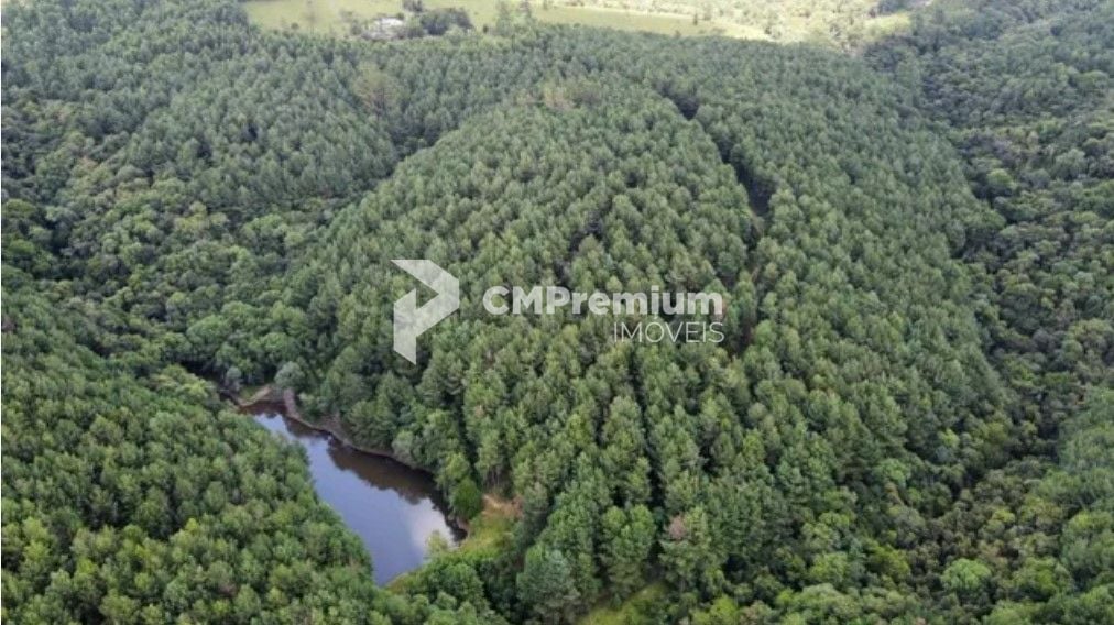 Fazenda com 3 dormitórios à venda, 1116000 m  por R  9.000.000...