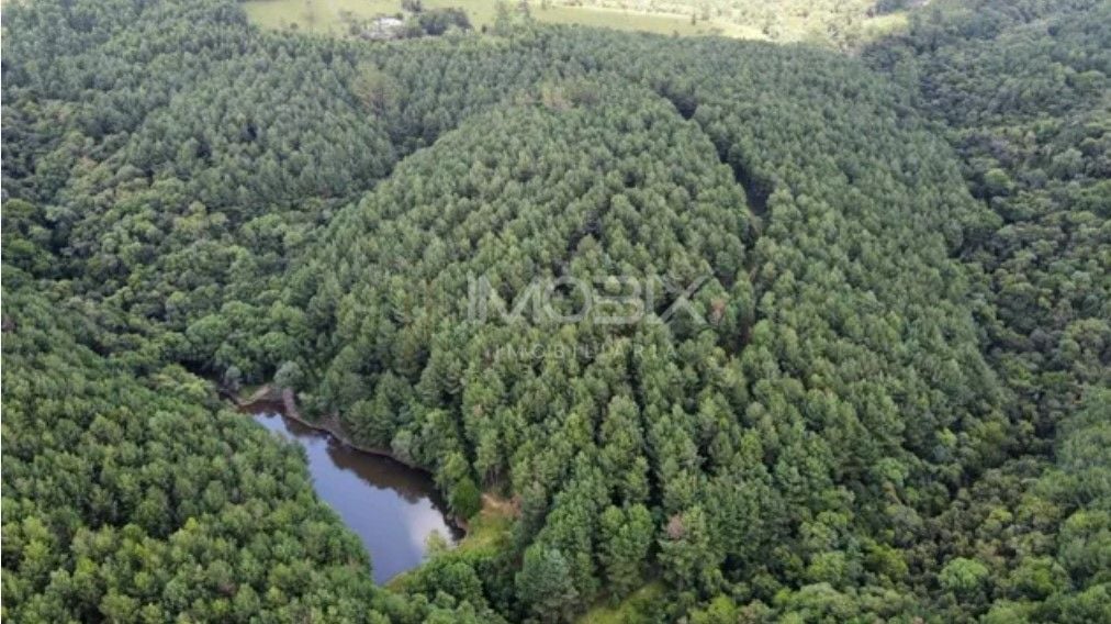 Fazenda com 3 dormitórios à venda, 1116000 m  por R  9.000.000...