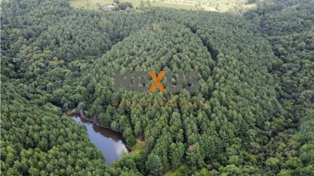 Fazenda com 3 dormitórios à venda, 1116000 m  por R  9.000.000...