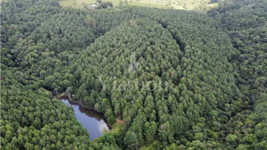 Fazenda com 3 dormitórios à venda, 1116000 m  por R  9.000.000...