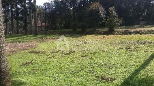 Ampla e excelente área à venda em Campo Largo para lazer ou co...