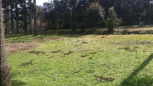 Ampla e excelente área à venda em Campo Largo para lazer ou co...