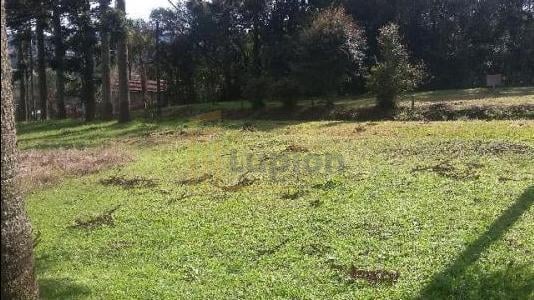 Terreno à Venda com Mina dÁgua e Potencial de Construção, Opo...