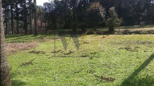 Terreno à Venda com Mina dÁgua e Potencial de Construção, Opo...