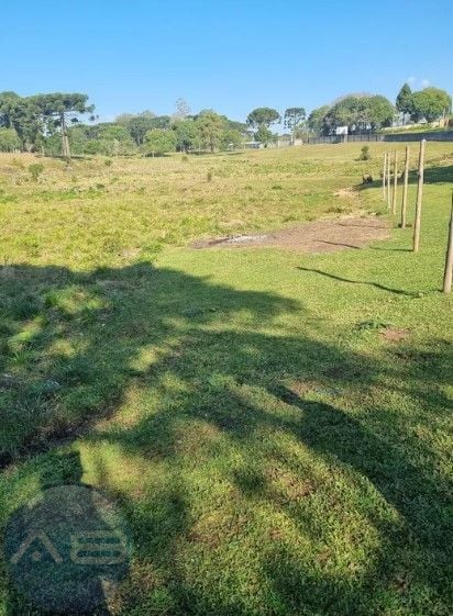 Área à venda, 49000 m  por R  7.900.000,00 - Centro - Piraquar...