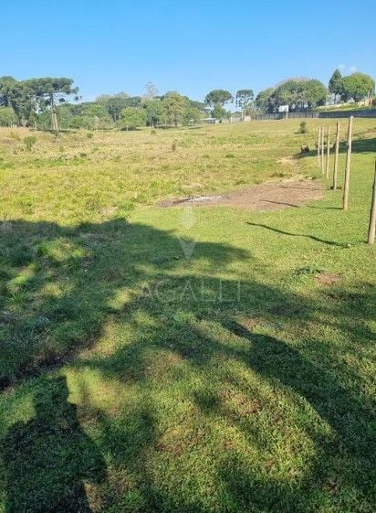 Área à venda, 49000 m  por R  7.900.000,00 - Centro - Piraquar...