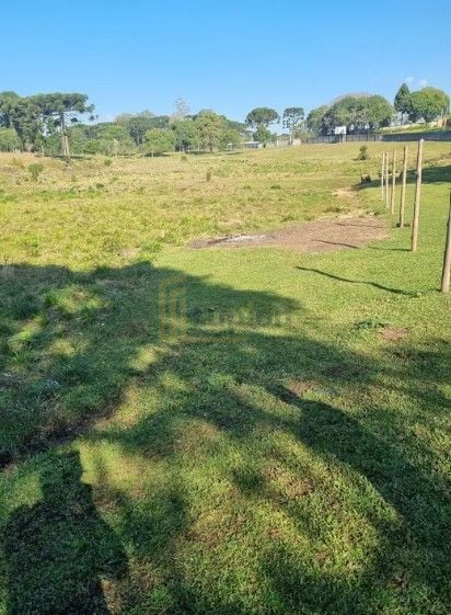 Terreno de 49.000 m  para Construtoras  Ideal para Projetos MCMV