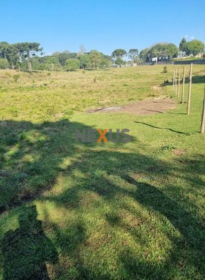 Área à venda, 49000 m  por R  7.900.000,00 - Centro - Piraquar...