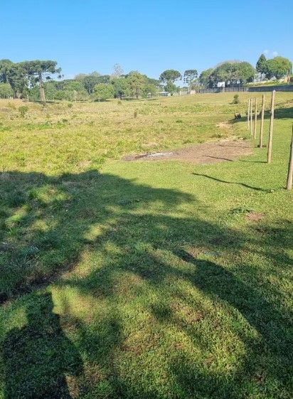 Terreno de 49.000 m  para Construtoras  Ideal para Projetos MCMV