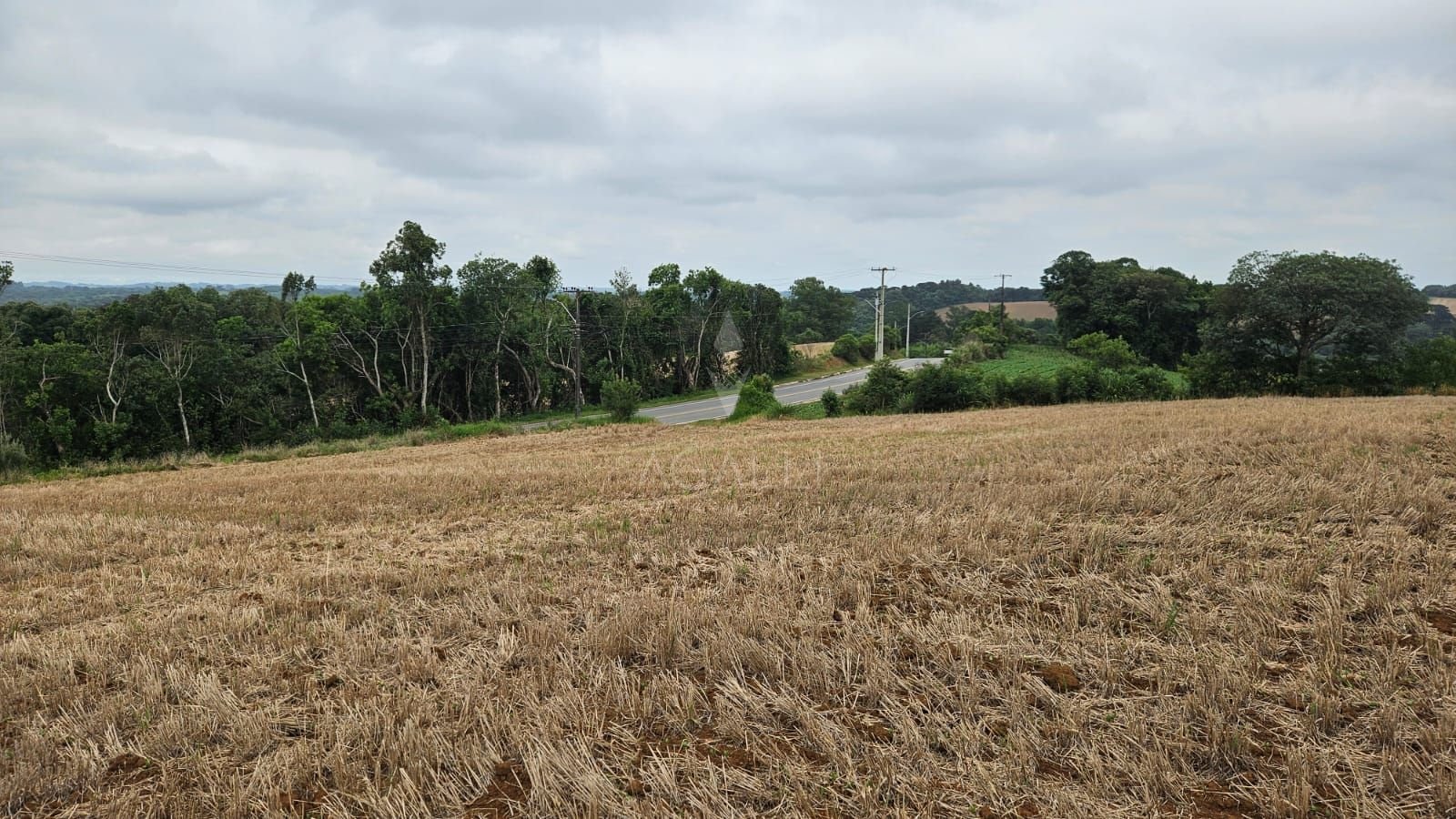 Terreno à venda, 84700 m² por R$ 3.500.000,00 - Guajuvira - Ar...