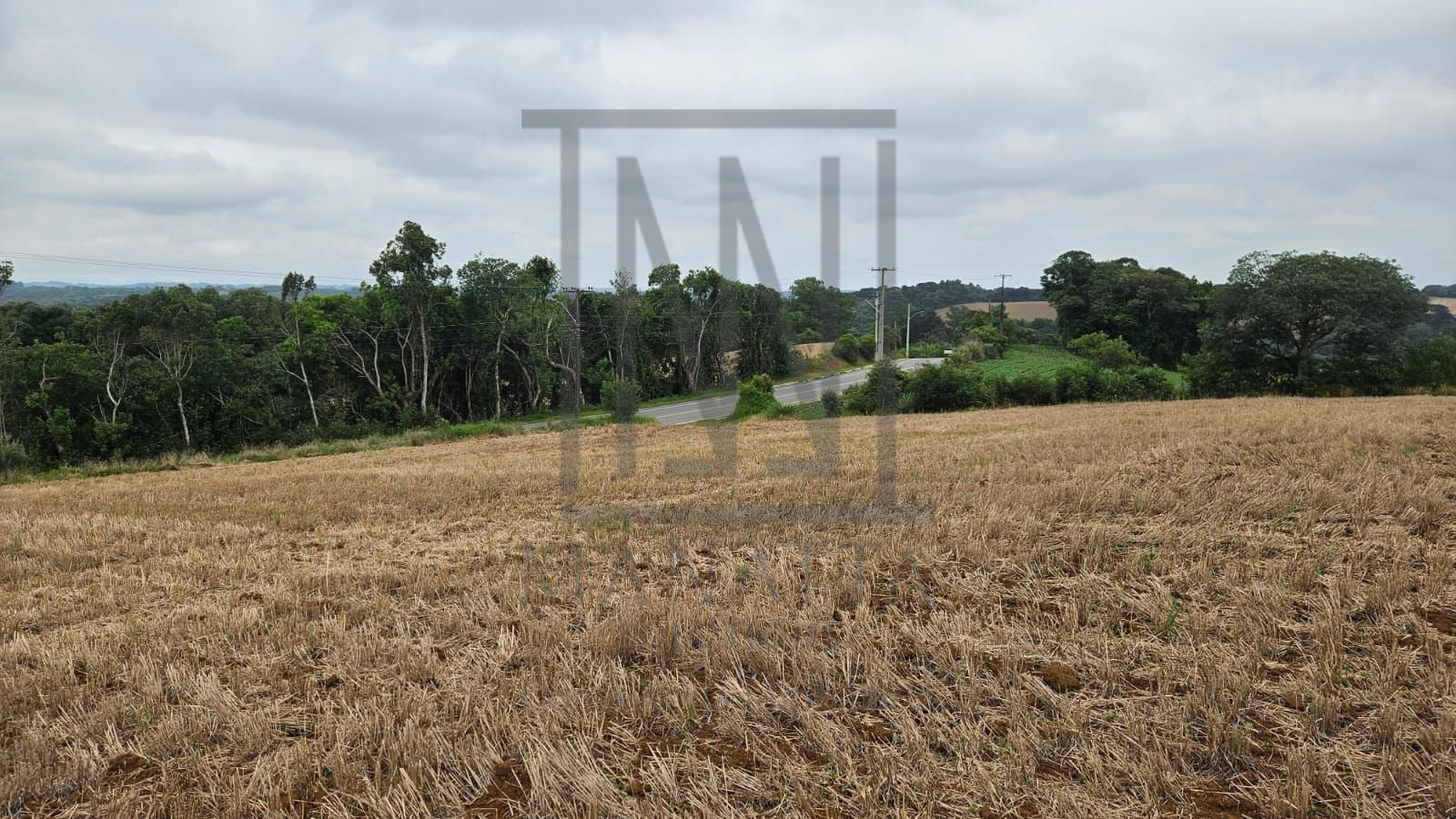 Terreno à venda, 84700 m² por R$ 3.500.000,00 - Guajuvira - Ar...