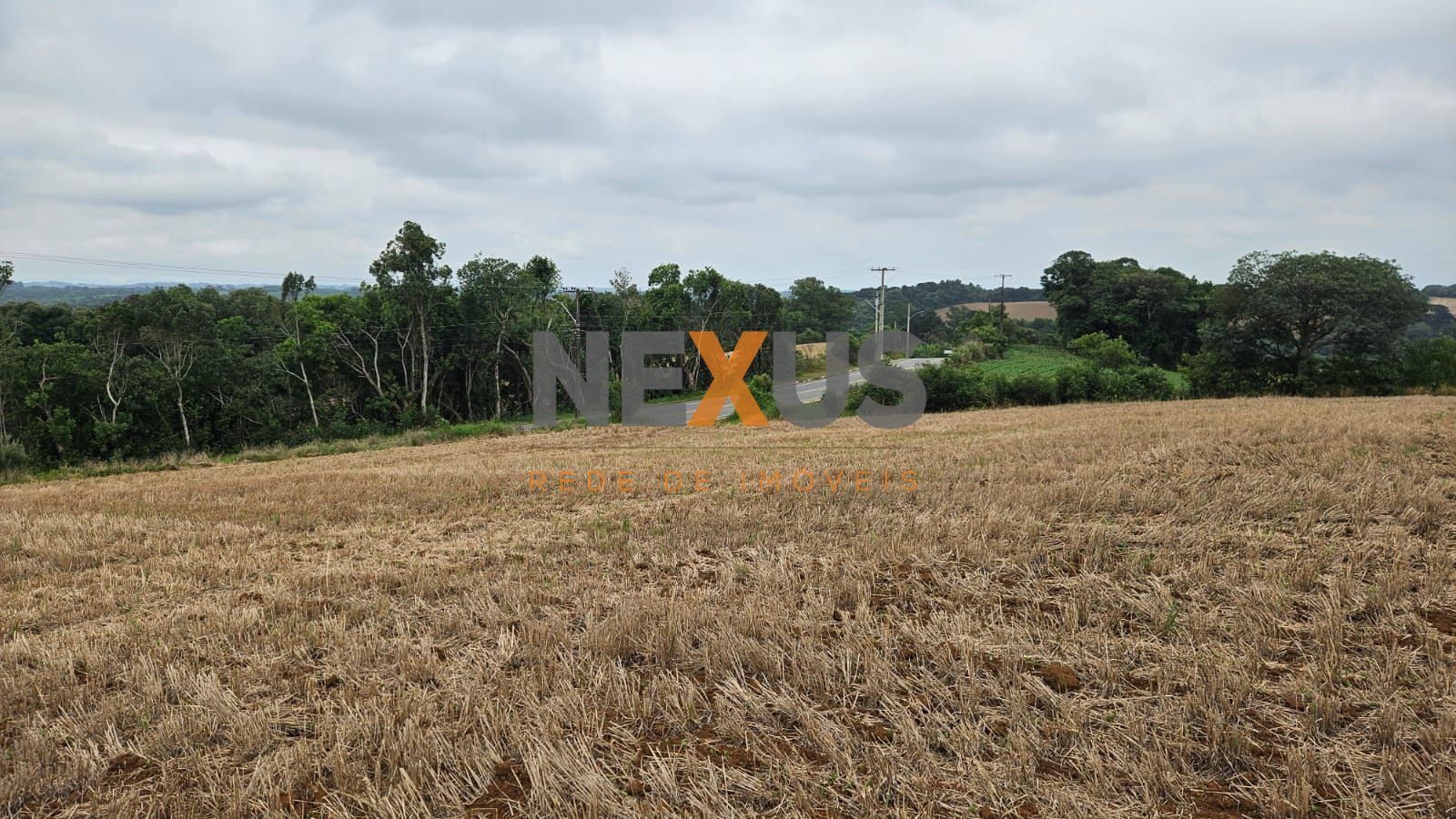 Terreno à venda, 84700 m² por R$ 3.500.000,00 - Guajuvira - Ar...